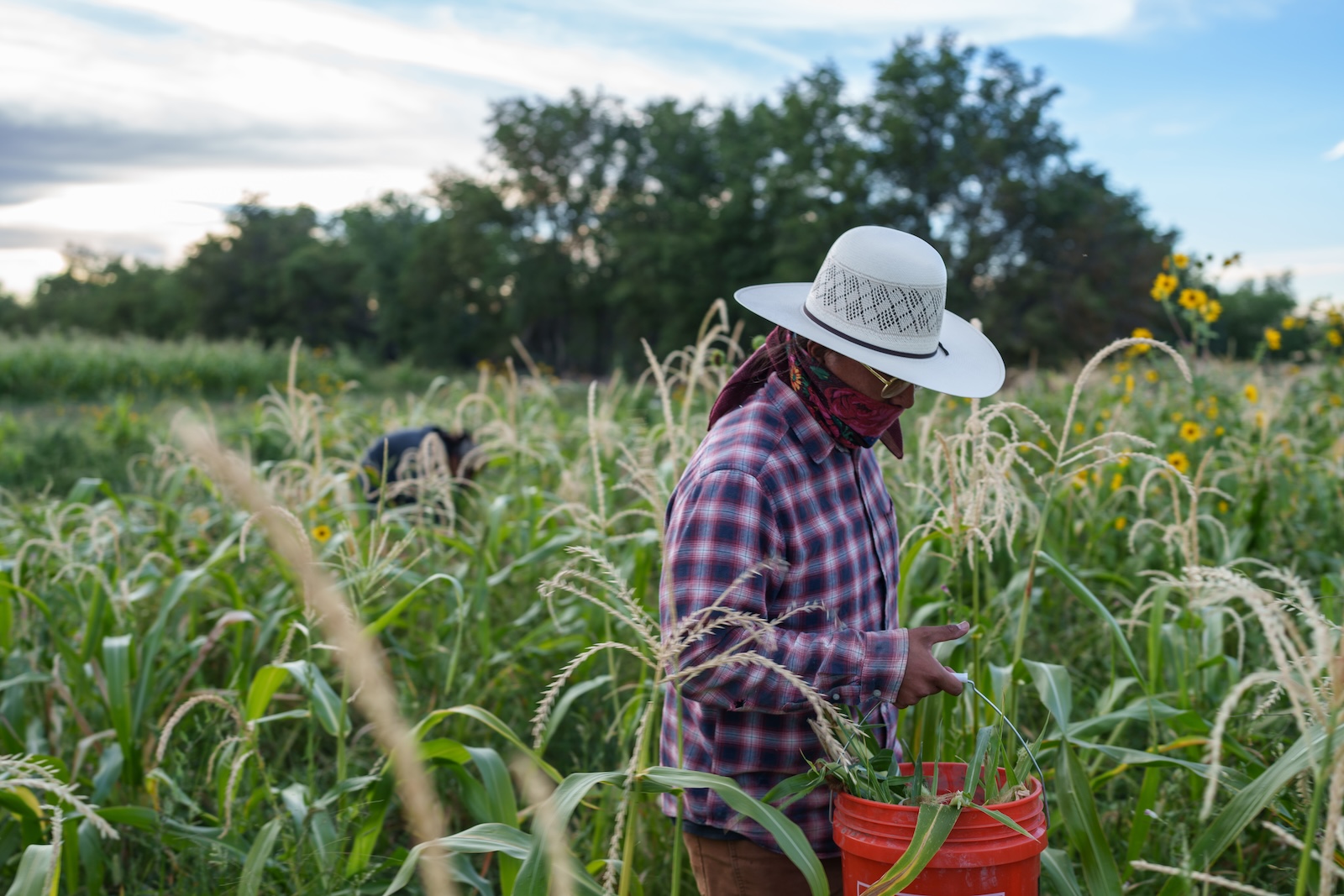 Farm Bill - Save the Children Action Network